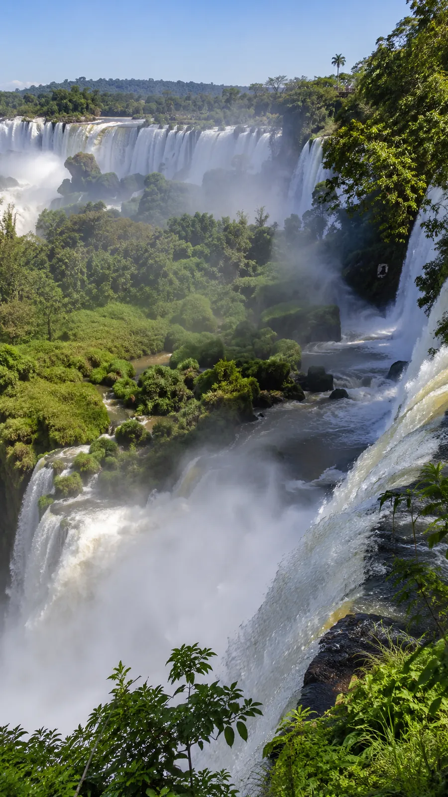 Saltos de las Cataratas del Iguazú entre la selva, vistos desde el lado argentino